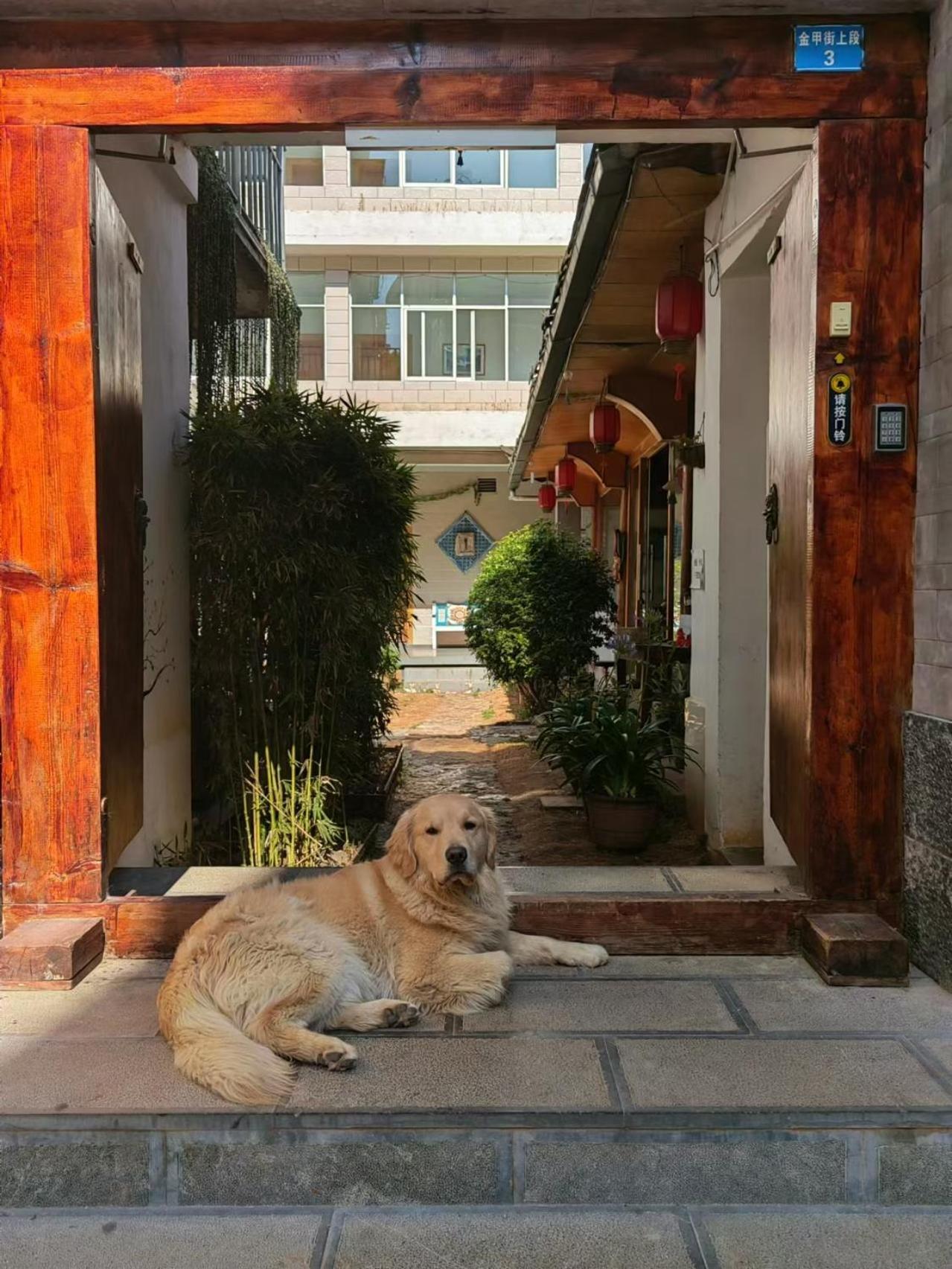 Lijiang Adventure Inn Exterior foto